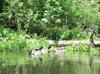 IMG 4695